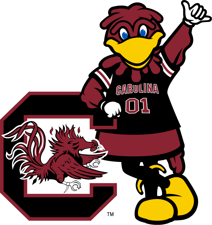 South Carolina Gamecocks 2014-2018 Mascot Logo diy iron on heat transfer